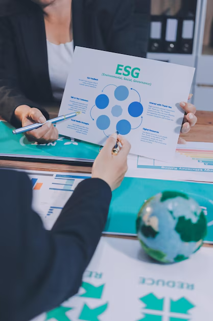 CSRD-Berichterstattung (ESRS-Anpassung)