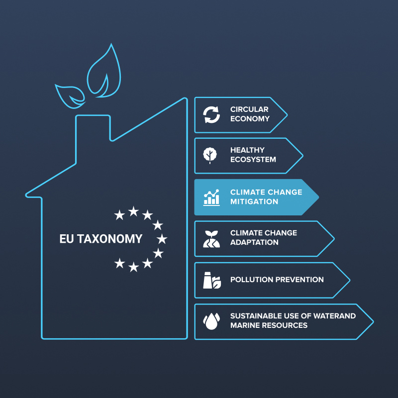 EU Taxonomy and Energy Consumption